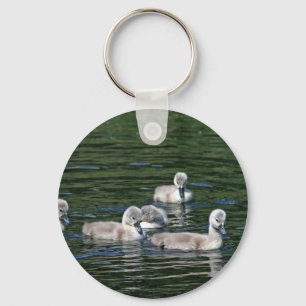 Schwimmen-Freunde Schlüsselanhänger