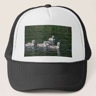Schwimmen-Freunde Truckerkappe