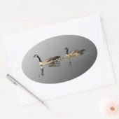 Schwimmen-Gans-Aufkleber Ovaler Aufkleber (Umschlag)