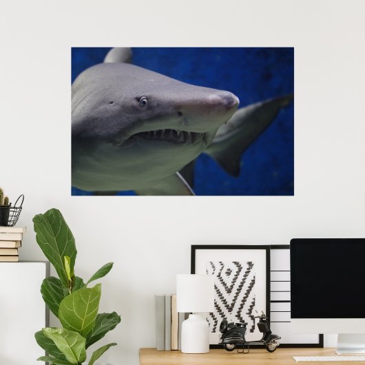 Schwimmen Hai-Natur-Plakat Poster (Heimbüro)