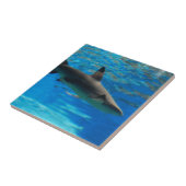 Schwimmen-Haifisch-Fliese Fliese (Seite)