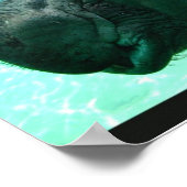 Schwimmen Hippo Poster (Ecke)