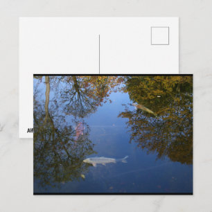 Schwimmen im Himmel Postkarte
