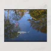 Schwimmen im Himmel Postkarte (Vorderseite)