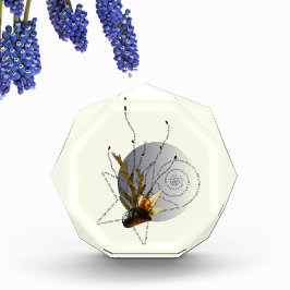 Schwimmen in 2 Schwangerschaftsgedicht Küstenstar Fotoblock