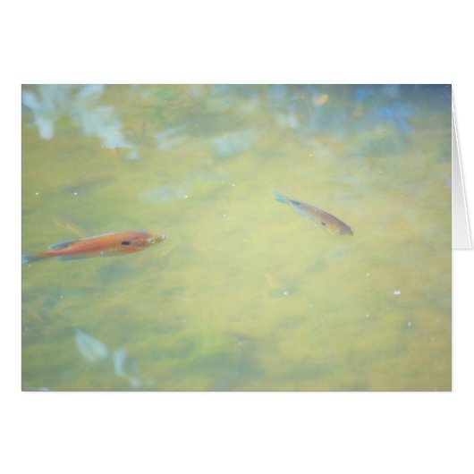 Schwimmen in der Sonne (Vorderseite (Horizontal))