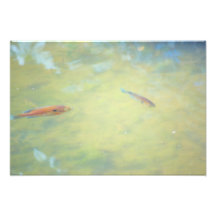 Schwimmen in der Sonne