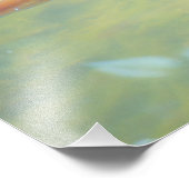 Schwimmen in der Sonne Fotodruck (Ecke)