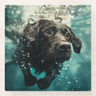 Schwimmen Labrador Puppy Underwater Design Glasuntersetzer