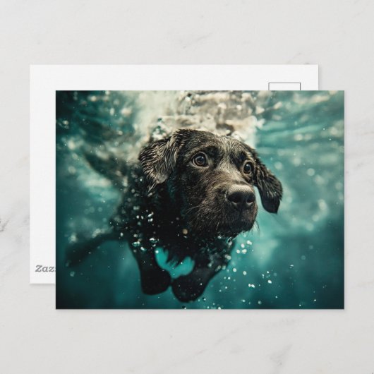Schwimmen Labrador Puppy Underwater Design Postkarte (Vorne/Hinten)