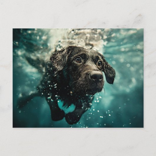 Schwimmen Labrador Puppy Underwater Design Postkarte (Vorderseite)
