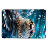 Schwimmen Magnet (Horizontal)