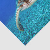 Schwimmen-Meeresschildkröte Seidenpapier (Ausschnitt)