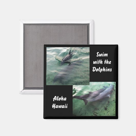 Schwimmen mit Delphinen Hawaii Magnet (Vorderseite/Rückseite)