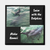 Schwimmen mit Delphinen Hawaii Magnet (Vorne)