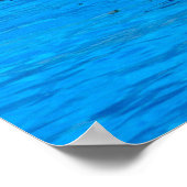 Schwimmen mit Delphinen in Spanien Poster (Ecke)