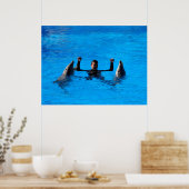 Schwimmen mit Delphinen in Spanien Poster (Küche)
