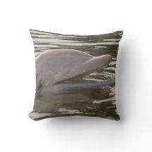 Schwimmen mit dem Delphinkissen