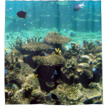 SCHWIMMEN MIT DEN FISCHEN