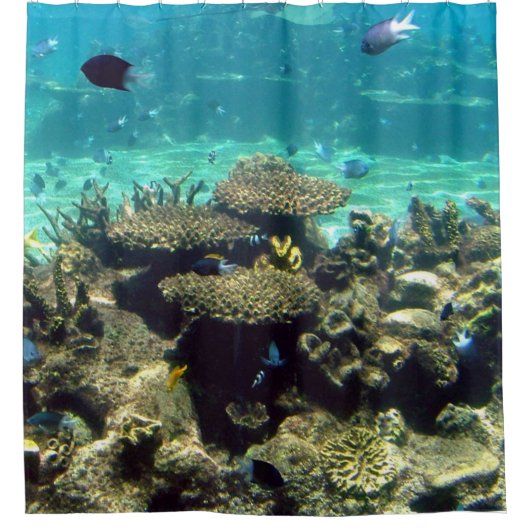 SCHWIMMEN MIT DEN FISCHEN DUSCHVORHANG (Vorderseite)