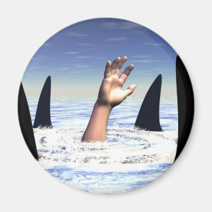 Schwimmen mit Haien Magnet