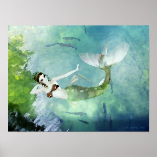 Schwimmen mit Lachs Print Poster (Vorne)