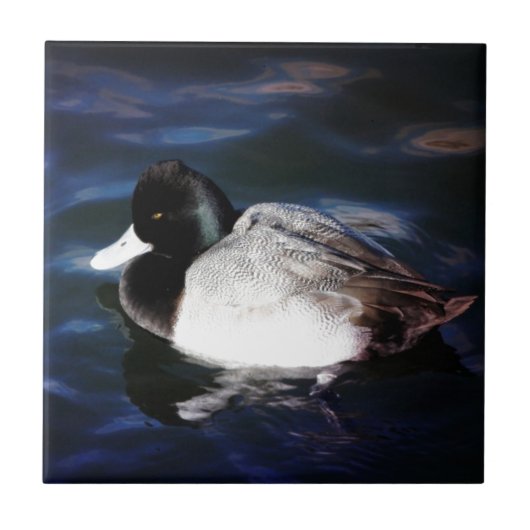 Schwimmen mit Sonnenschein Fliese (Vorderseite)