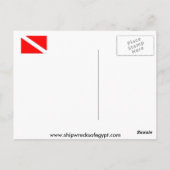 Schwimmen mit Sphinxen Postkarte (Rückseite)