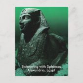 Schwimmen mit Sphinxen Postkarte (Vorderseite)