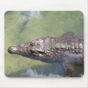 Schwimmen Mousepad