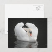 Schwimmen nach Karte (Vorne/Hinten)