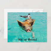 Schwimmen neue Adresse Ankündigungspostkarte (Vorne/Hinten)