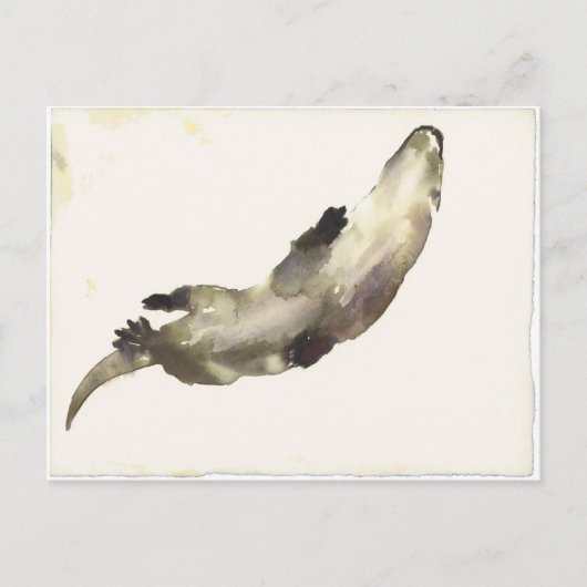 Schwimmen Postkarte (Vorderseite)