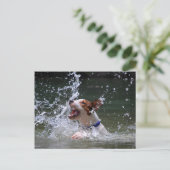 Schwimmen Postkarte (Stehend Vorderseite)