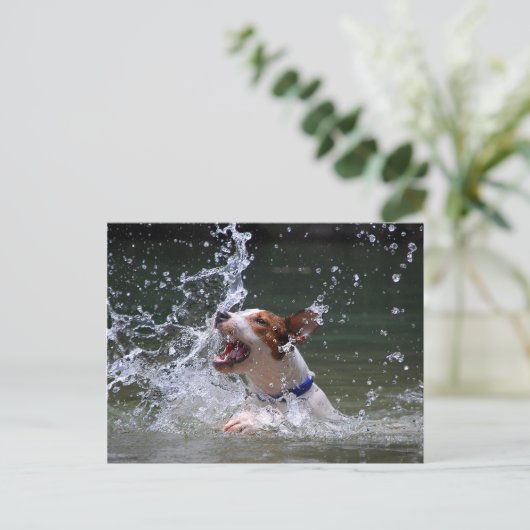 Schwimmen Postkarte (Stehend Vorderseite)