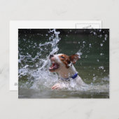 Schwimmen Postkarte (Vorne/Hinten)