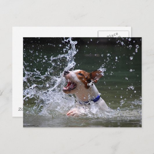 Schwimmen Postkarte (Vorne/Hinten)