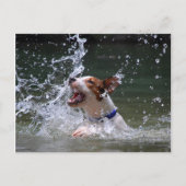 Schwimmen Postkarte (Vorderseite)