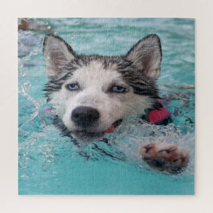 Schwimmen Puzzle