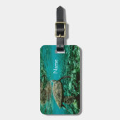 Schwimmen-Schildkröte auf Gepäckanhänger mit (Vorderseite vertikal)