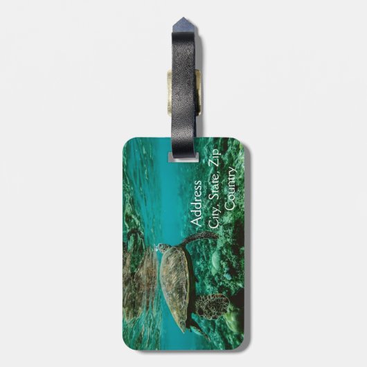 Schwimmen-Schildkröte auf Gepäckanhänger mit (Rückseite vertikal)