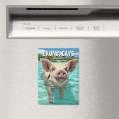 Schwimmen Schweine Exuma Cays Bahamas Reisen Magnet (In Situ (Geschirrspüler))