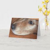 Schwimmen Sie sich schnell durch den Golden Retrie Karte (Gelbe Blume)