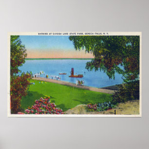 Schwimmen-Szene am Cayuga See-Staats-Park Poster