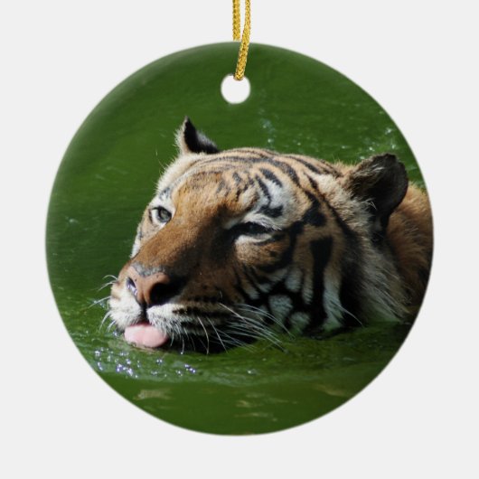Schwimmen-Tiger-Verzierung Keramik Ornament (Vorne)