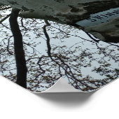 Schwimmen verboten-Schild in einem Baum Poster (Ecke)