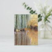 Schwimmen Willow Reflection Postkarte (Stehend Vorderseite)