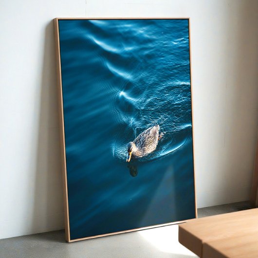 Schwimmende Ente Poster