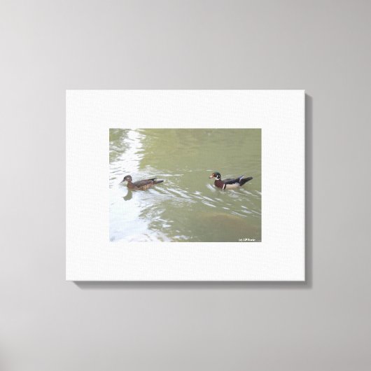 Schwimmende Enten Leinwanddruck (Vorderseite)