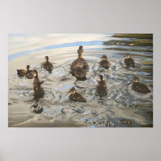 Schwimmende Enten Poster (Vorne)